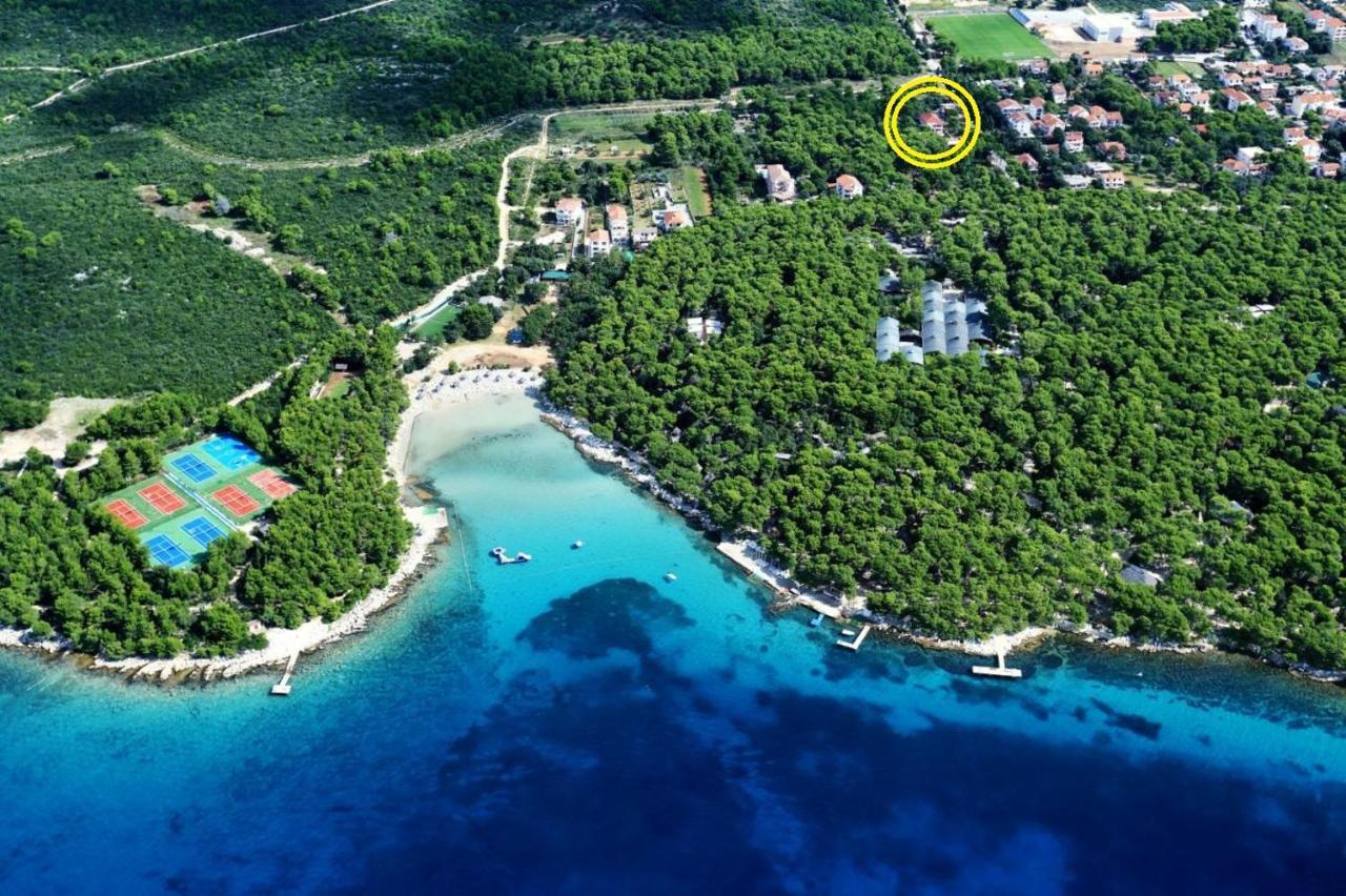 Villa Daria باكوشتاني المظهر الخارجي الصورة